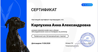 Сертификат Карпухиной Анны о прослушивании курса «Ветеринарный врач-терапевт» в Vet_workshop, апрель – сентябрь 2026 года