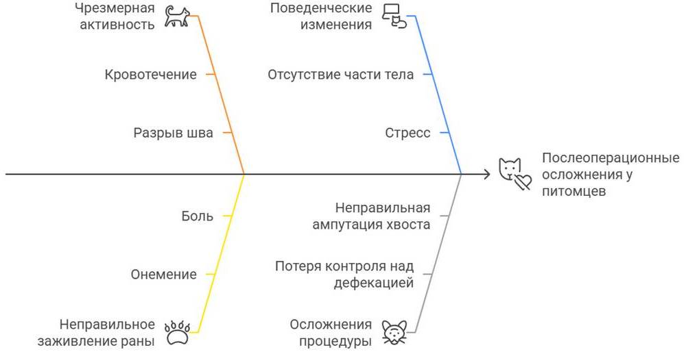 Ампутация хвоста у кота