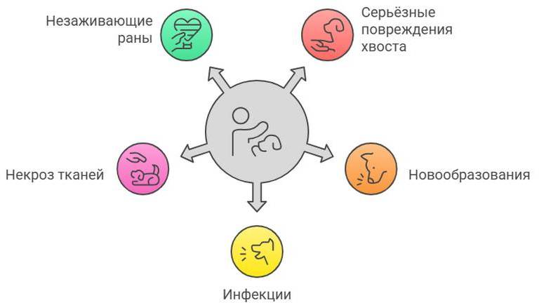 Ампутация хвоста у собаки