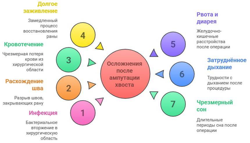Ампутация хвоста у собаки