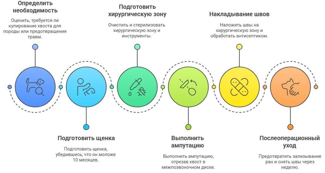 Ампутация хвоста у собаки