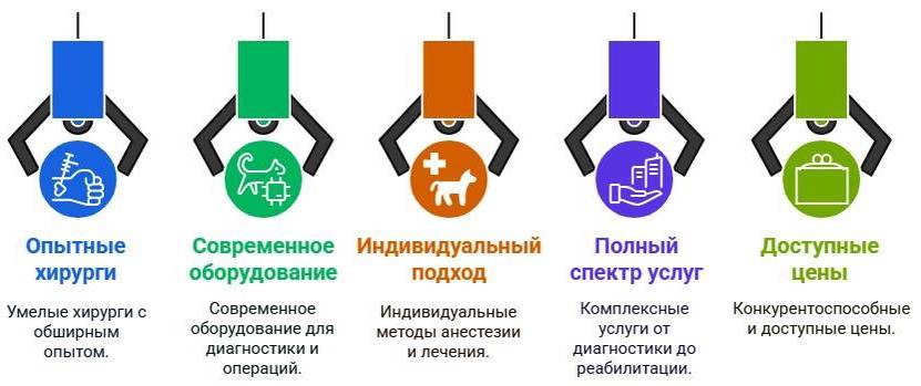 Ампутация конечности кошки