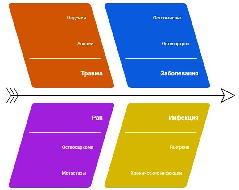 Ампутация конечности кошки