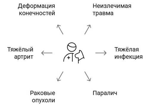Ампутация лапы собаке