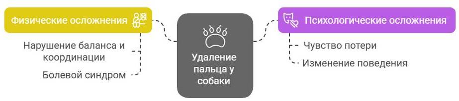 Ампутация пальцев у собак