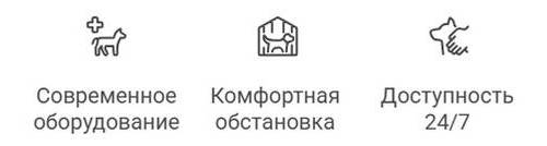 Ампутация пальцев у собак
