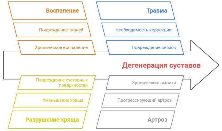 Артродез у собак и кошек