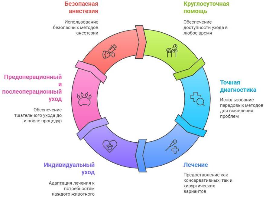 Артродез у собак и кошек