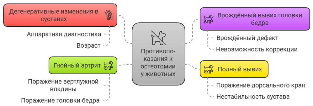 Остеотомия у собак и кошек