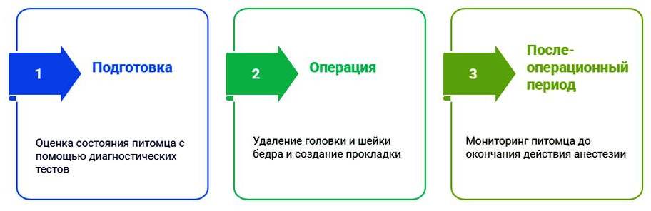 Резекция бедра у собак и кошек