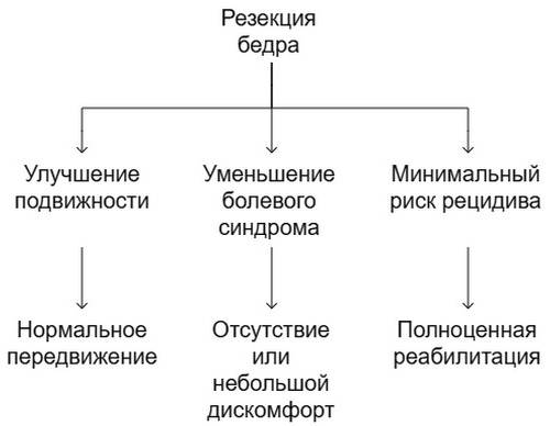 Резекция бедра у собак и кошек
