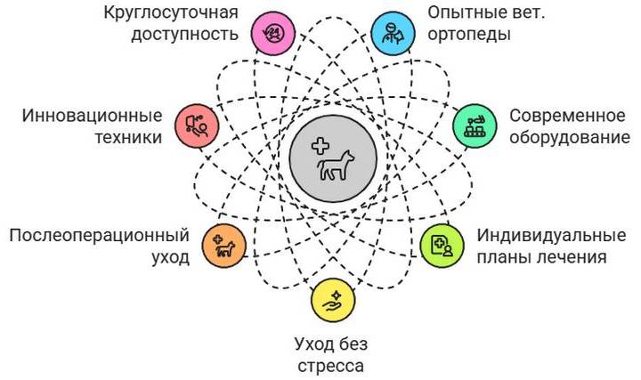Резекция бедра у собак и кошек